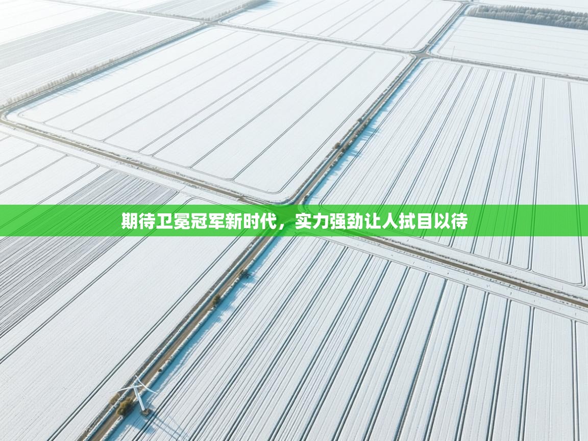 期待卫冕冠军新时代，实力强劲让人拭目以待  第2张