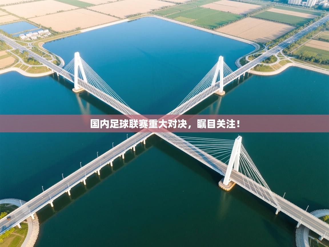 国内足球联赛重大对决，瞩目关注！  第1张