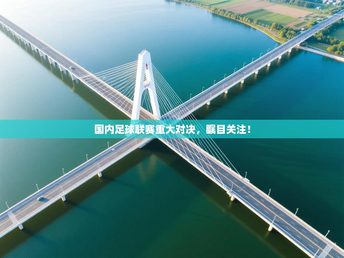 国内足球联赛重大对决，瞩目关注！  第2张