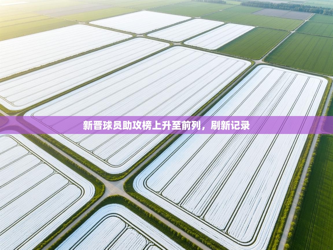 新晋球员助攻榜上升至前列,刷新记录 第1张